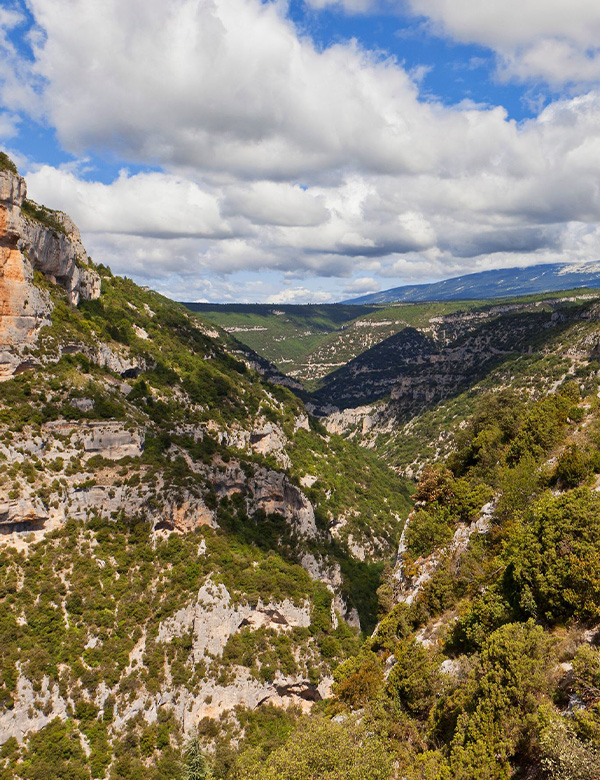 TRACK-WATTS-IN-PROVENCE-8