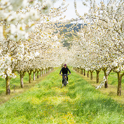 Cycliste professionnel sur route de montagne au lever du soleil – STUDIO M2X photographie sport